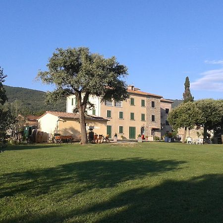 Casa Soleluna B&B Cortona Eksteriør billede