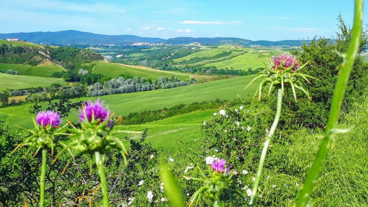 Casa Soleluna B&B Cortona Eksteriør billede